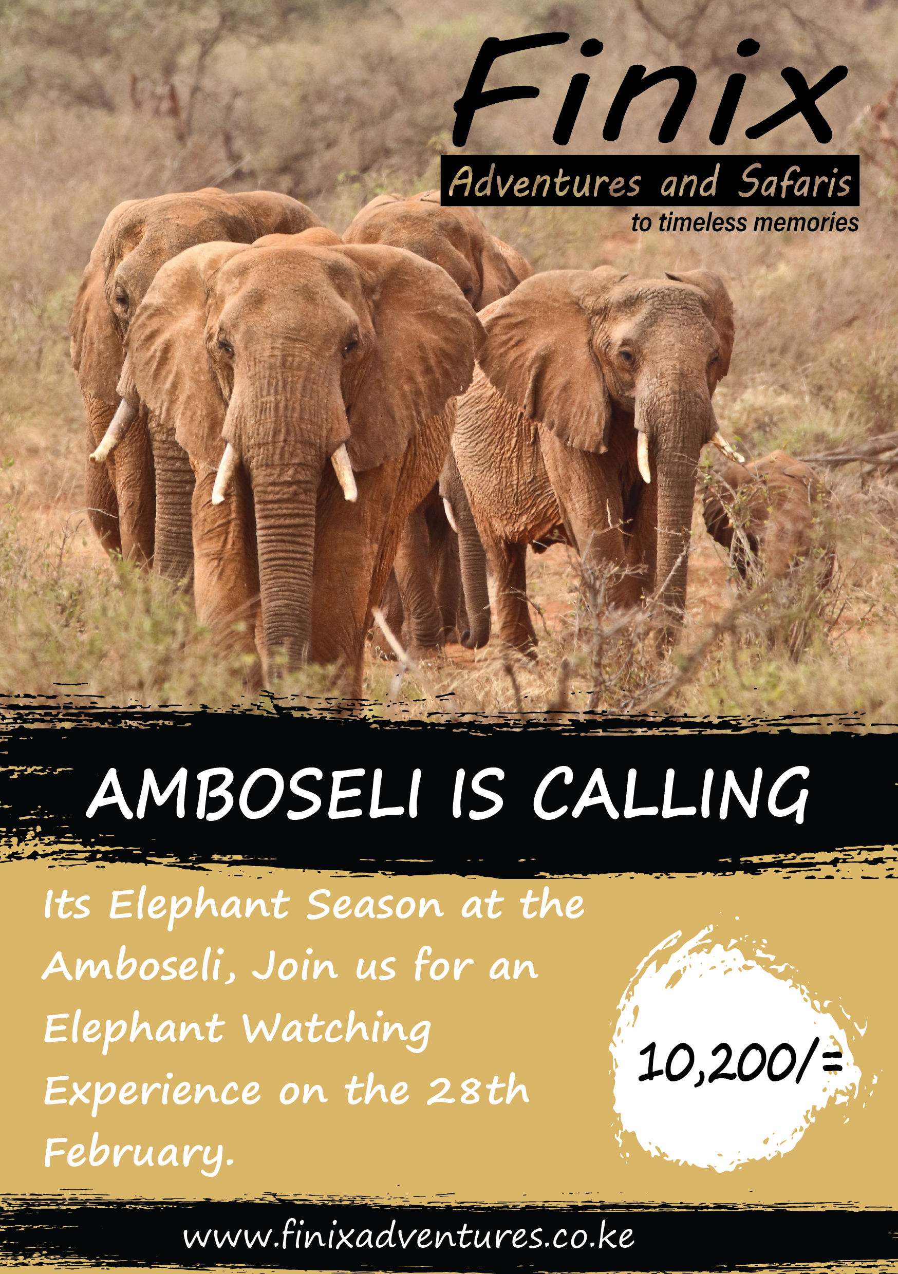 Elephants in Amboseli with Mount Kilimanjaro