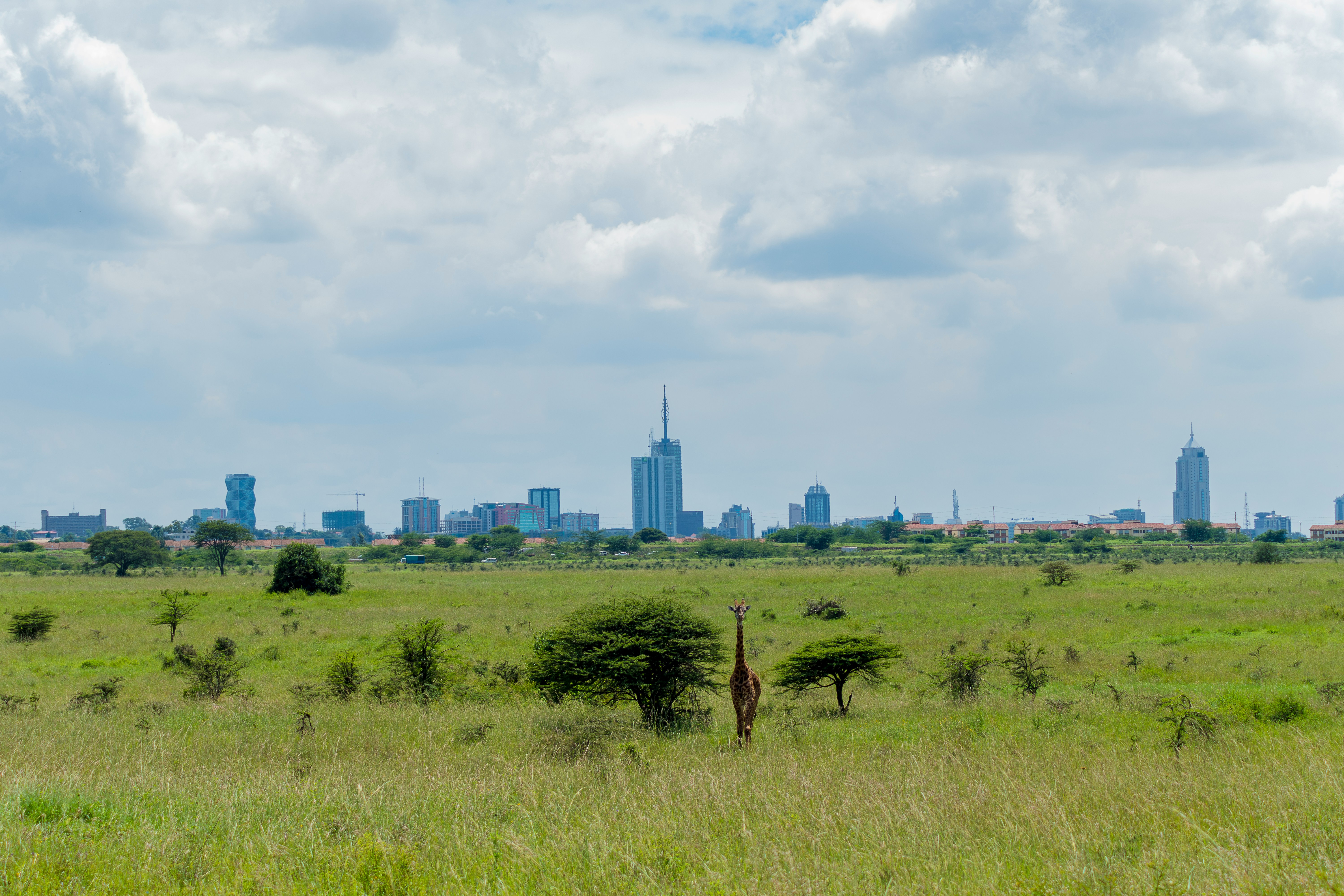 Nairobi city safari route
